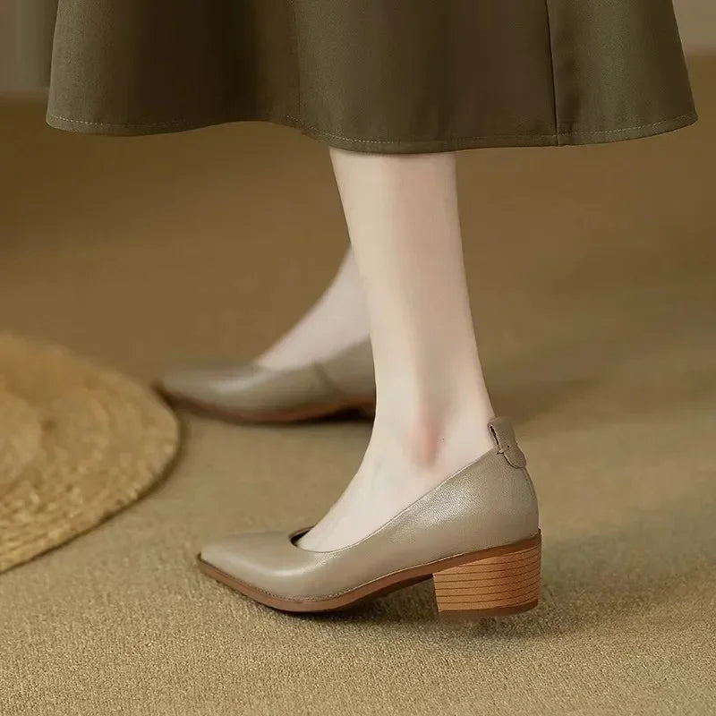 Women’s Pumps with Pointed Toe and Block Heel
