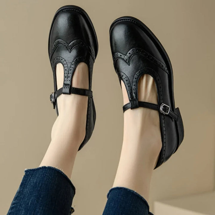 Women’s T-Strap Mary Jane Shoes with Low Block Heel and Buckle Closure