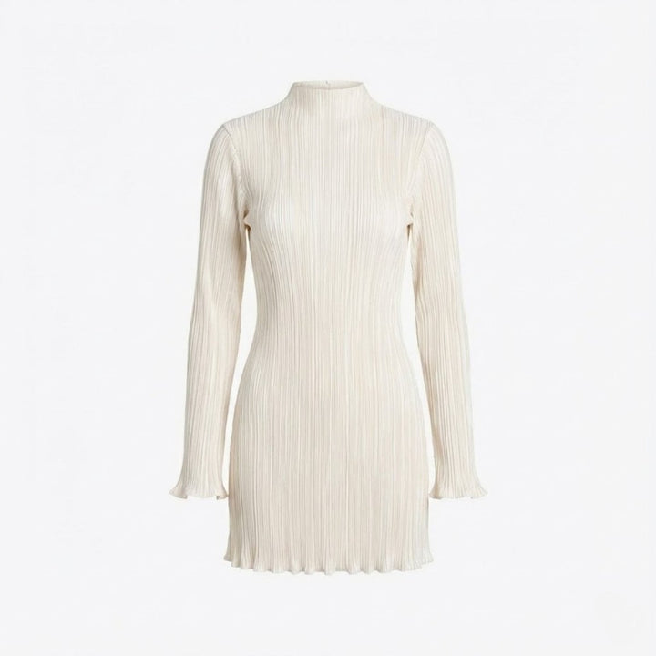 Women’s Ribbed Knit Dress with High Neck and Long Sleeves